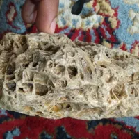 سنگ ویترین ،فسیل مرجان دریایی|کلکسیون اشیاء عتیقه|اردل, |دیوار