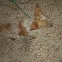 لطفا سوال بی نفرمایید
