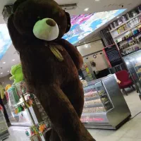 عروسک خرس بزرگ