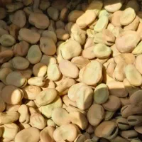 باقله|خوردنی و آشامیدنی|خرم‌آباد, |دیوار