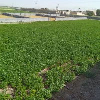 فروش-زمین-صنعتی