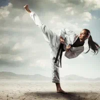 آموزش دفاع شخصی حرفه ای  آموزش سلاح   ناچیکو  چوب