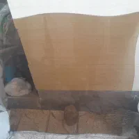 شیشه ای میز  ۴ نفره
