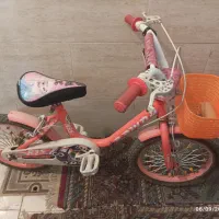 فروش کیف کفشدوزکی و دوچرخه|دوچرخه، اسکیت، اسکوتر|کیار, |دیوار