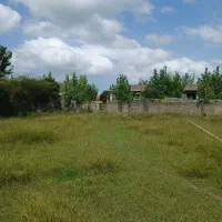 سیاه کلا زمین ۱۵۶ متری الحاق بافت نزدیک دریا