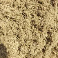 کاه برای دامداران و نیشکر|عمده‌فروشی|بردسکن, |دیوار