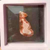 فلورین|جواهرات|محلات, |دیوار