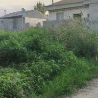 با نیسان یخچالدار هم معاوضه میکنم|فروش زمین و ملک کلنگی|رشت, ترمینال|دیوار