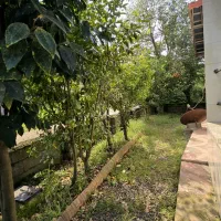 ویلای جنگلی ۳۴۰ متری /سند تک برگ/با ویو دامنه|فروش خانه و ویلا|سیاهکل, |دیوار