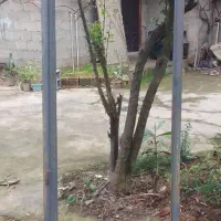 بخاری و درب اتاق همراه چهارچوب|بخاری، هیتر، شومینه|فومن, |دیوار