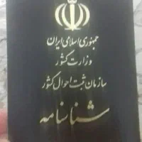 شناسنامه گمشده