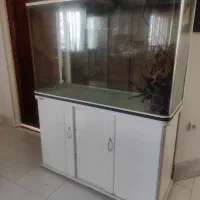 آکواریوم بزرگ شرکت ماهیران