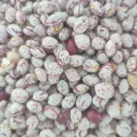 باعرض سلام و خسته نباشی حدود 5تنن د