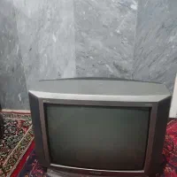 تلویزیون