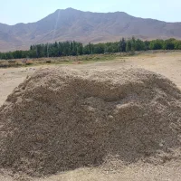 کاه لوبیا