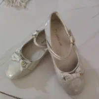 کفش مجلسی