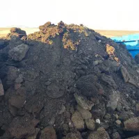 کود حیوانی برای باغداران عزیز کود دو سه ساله|خدمات باغبانی و درختکاری|نختالو, |دیوار