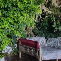 اجاره ویلا باغ|اجارهٔ کوتاه‌مدت ویلا و باغ|دزفول, |دیوار