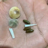 مهره|کلکسیون اشیاء عتیقه|چابهار, |دیوار