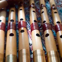 نی های کویری کاشان