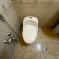 سرویس فرنگی