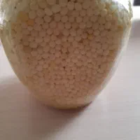 حلزون وبچه حلزون فروشی وتخم حلزون یا خاویار حلزون