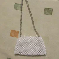 کیف مرواریدی|کیف، کفش، کمربند|کرمان, |دیوار