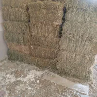 یونجه قالبی