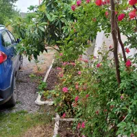 ویلا|فروش خانه و ویلا|رشت, شهرک شهید رجایی|دیوار