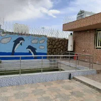 اجاره باغ چهاردیواری شده ب مدت یک سال|اجارهٔ کوتاهمدت ویلا و باغ|نجفآباد, جلال آباد|دیوار