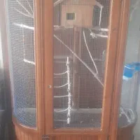 قفس پرنده بزرگ تزئینی کنارسالنی طوطی عروس هلندی|لوازم جانبی حیوانات|اصفهان, عمان سامانی|دیوار