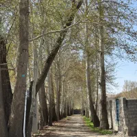 320متر-4دیواری-شهرکی-تهراندشت-تهران-ویلا-زیر-قیمت