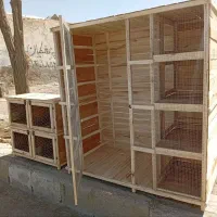 قفس چوبی|لوازم جانبی حیوانات|شیروان (خراسان), |دیوار