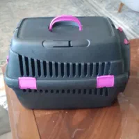 باگس حیوانات