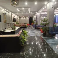 آشپز ماهر
