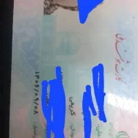 مدارک گمشده