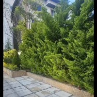 مغازه15متری-برخیابان-اصلی-باسرویس-بهداشتی-خ-ارامنه