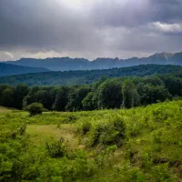 2 هکتار وسط جنگل سنگده سنددار|فروش زمین و ملک کلنگی|تهران, جماران (نیاوران)|دیوار