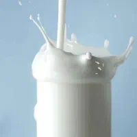 شیر پر چرب محلی