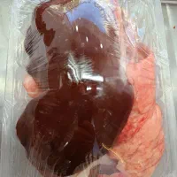 گوشت گوساله وبره|خوردنی و آشامیدنی|بجنورد, |دیوار