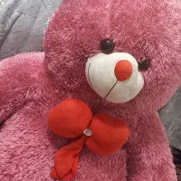 خرس|اسباب‌بازی بچه|یزد, |دیوار