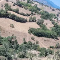 ۱۵۰۰مترمربع زمین دارای مجوز تاسیس گلخانه طالکوه|فروش زمین و ملک کلنگی|بره‌سر, |دیوار