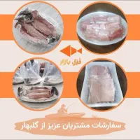 ماهی قزل الا|ماهی|طرقبه, |دیوار