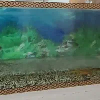 آکواریوم|ماهی|مبارکه, |دیوار