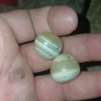 مهره برد|کلکسیون اشیاء عتیقه|باغ ملک, |دیوار