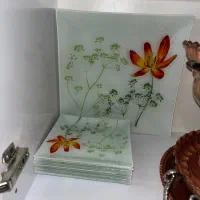 ۲سری میوه خوری ارکوپال با اشانتیون