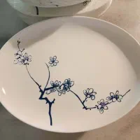 سرویس غذاخوری|ظروف سرو و پذیرایی|تهران, تهرانسر غربی|دیوار