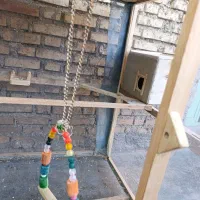 قفس|لوازم جانبی حیوانات|هفتگل, |دیوار