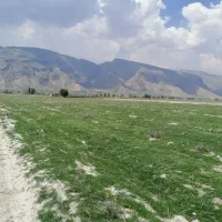 فروش زمین کشاورزی کوشک بیدک|فروش زمین و ملک کلنگی|شیراز, کوشک بیدک|دیوار