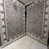 فرش مرادی|فرش|رشت, استقامت ۲|دیوار